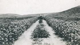 Video thumbnail: Wyoming History 100 Years on the Lincoln Highway