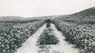 100 Years on the Lincoln Highway (2014)