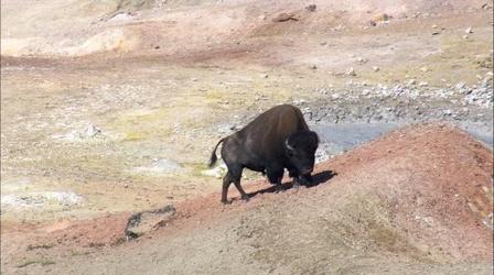Video thumbnail: Wyoming PBS Specials Over Wyoming