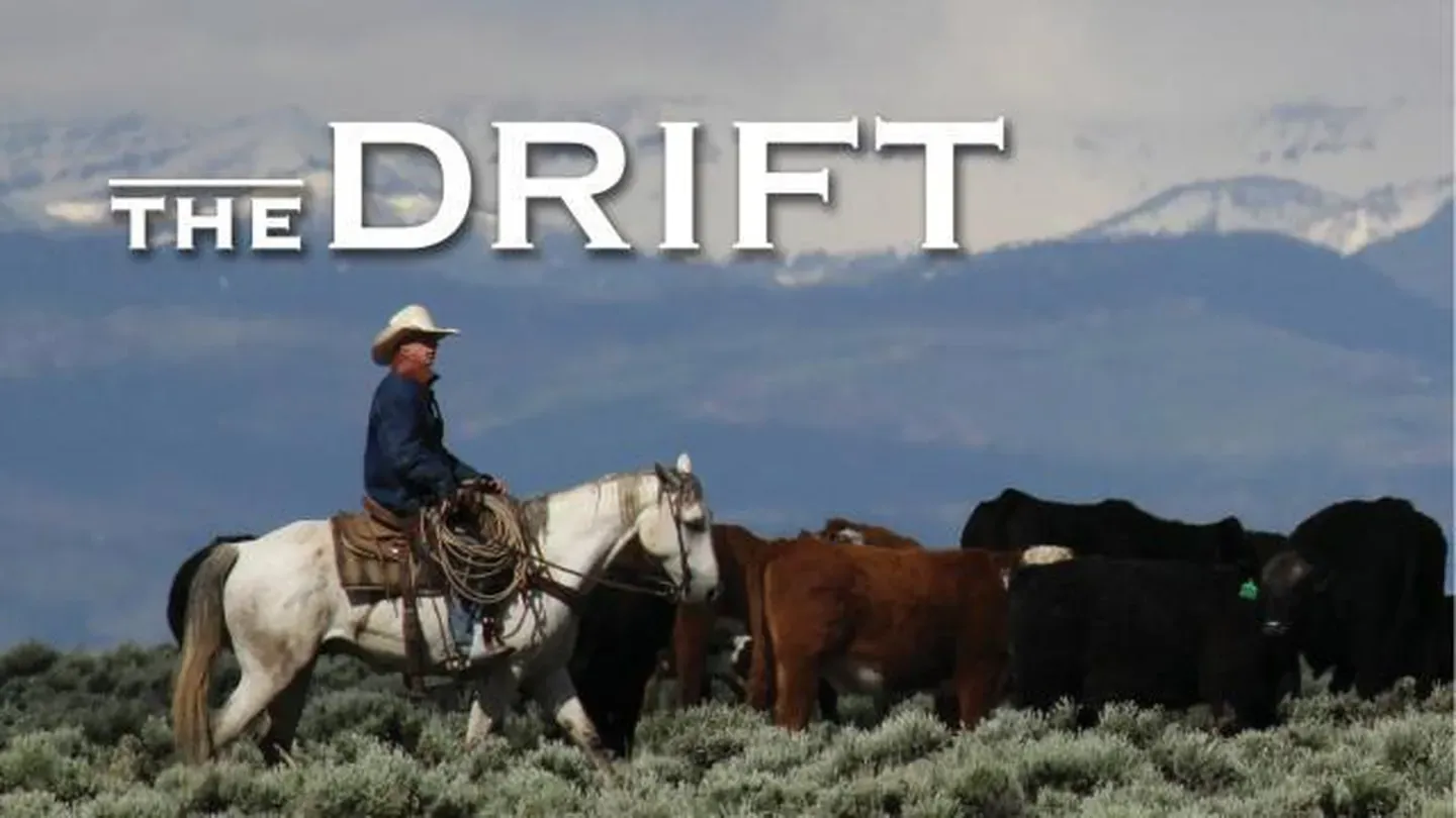 The Drift