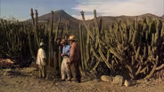 Cactus Capital of the World