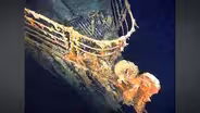 Submersible visiting Titanic wreckage reported missing