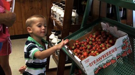 Video thumbnail: Iowa Ingredient Iowa Ingredient | Strawberries (#302)