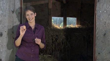 Video thumbnail: Iowa Ingredient Iowa Ingredient | Eggs (#305)