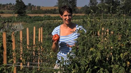 Video thumbnail: Iowa Ingredient Iowa Ingredient | Tomatoes (#306)