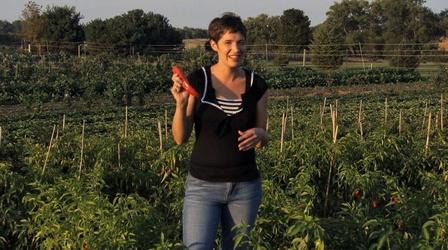 Video thumbnail: Iowa Ingredient Iowa Ingredient | Peppers (#308)