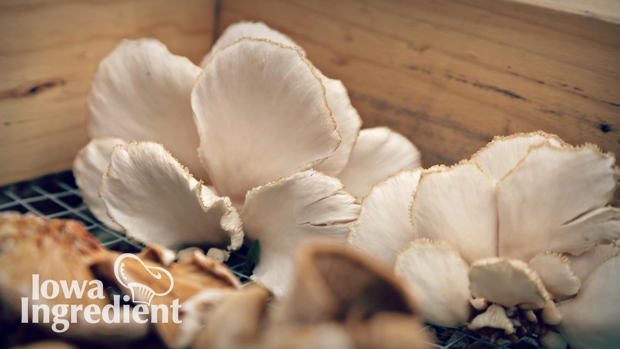 Iowa Ingredient Carrots Iowa Ingredient Season 4 Episode 403 Pbs