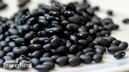 Black Beans | Iowa Ingredient