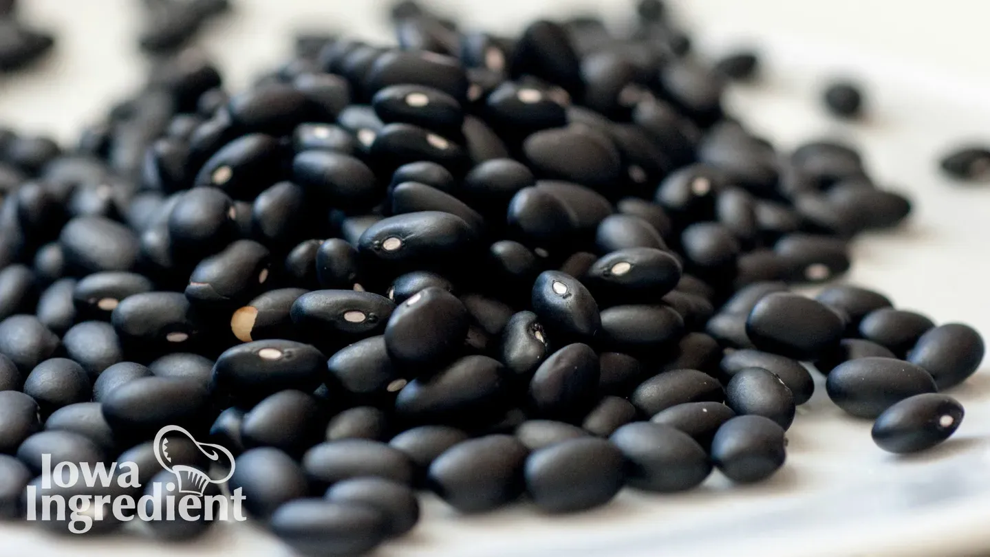 Black Beans | Iowa Ingredient