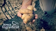 Potatoes | Iowa Ingredient 