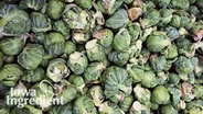 Brussels Sprouts | Iowa Ingredient