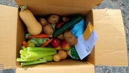 Inclusive food boxes for Coloradans in need