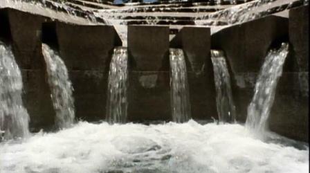 Video thumbnail: KERA Specials Water Garden