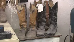 Blucher Boot Company