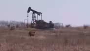 Osage County Cattlemen