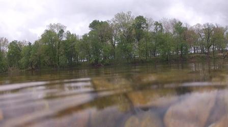 Video thumbnail: The Oklahoma News Report Phosphorous Levels in the ?Illinois River