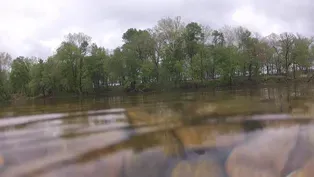 Phosphorous Levels in the ?Illinois River