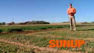 Condition of Oklahoma's Wheat Crops
