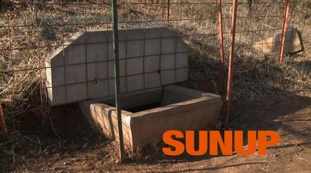 Video thumbnail: SUNUP Cattle Water Needs During the Winter