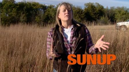 Video thumbnail: SUNUP Fall and Winter Grazing of Native Grasses