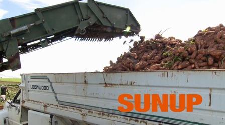 Video thumbnail: SUNUP GFSI and food grown in Oklahoma