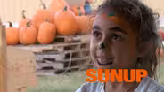 Fun on the farm