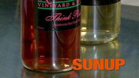 Video thumbnail: SUNUP Difference Between Red and White Grapes