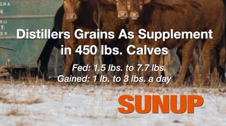 Video thumbnail: SUNUP Distillers Grains