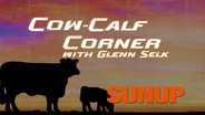 Preventing Grass Tetany