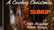 A Cowboy Christmas
