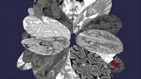 Video thumbnail: Arts America October 8, 2016
