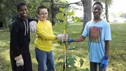 Plant for Peace