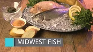 Midwest Fish