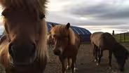 Iceland Photo Montage