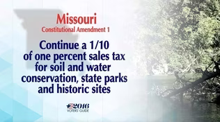 Voters' Guide: Amendments 1 & 4