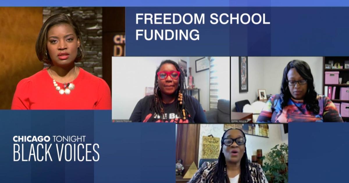 Chicago Tonight: Black Voices | Freedom School Advocates Say $17M Grant ...