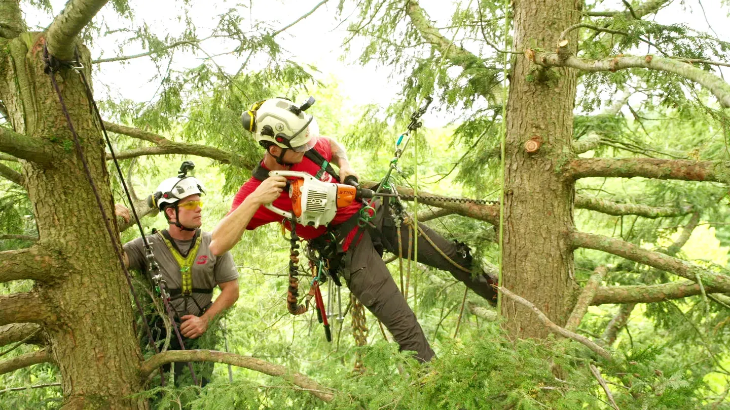 E6 | Concord Country Cape | Tree Dr. House Call