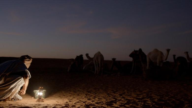 Sacred Planet with Gulnaz Khan Image