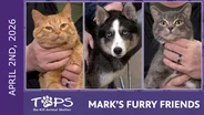 4/2/2026 | Bears, Shoe and Lenox | Mark's Furry Friends