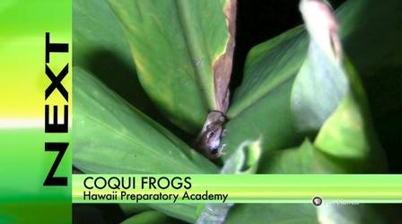 Video thumbnail: HIKI NŌ HIKI NŌ - 518 Hosted Waianae Intermediate School