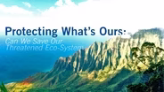 Protecting What’s Ours-Can We Save Our Threatened Ecosystem?