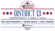State Senate District 13