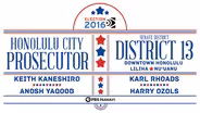 Honolulu City Prosecutor / State Senate District 13