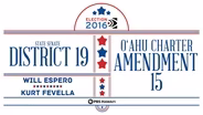 State Senate District 19 / O‘ahu Charter Amendment 15