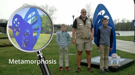 Video thumbnail: Let's Explore with Mr. Scott Let's Explore with Mr. Scott | Metamorphosis