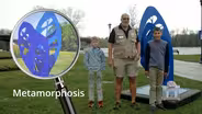 Let's Explore with Mr. Scott | Metamorphosis