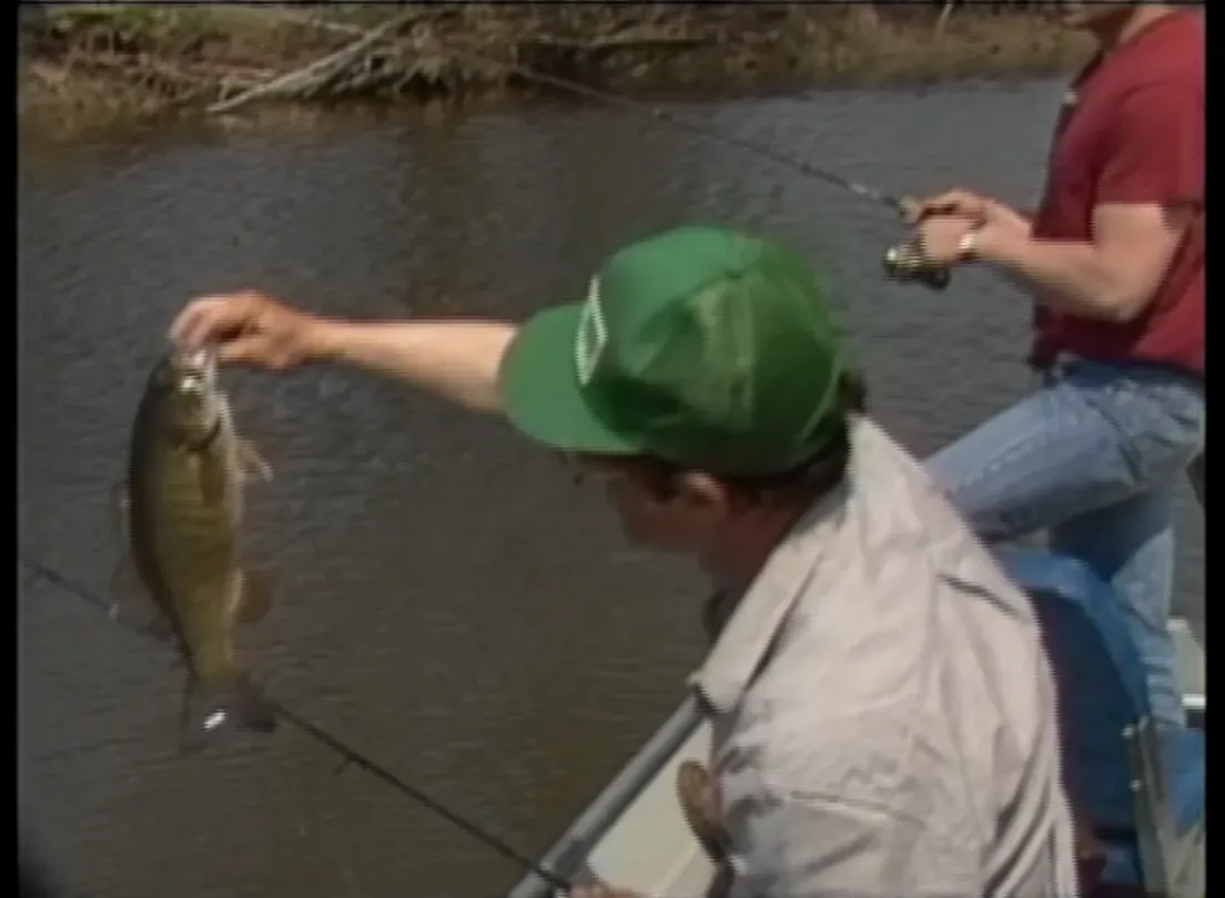 Sandy Creek Bass
