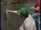Sandy Creek Bass