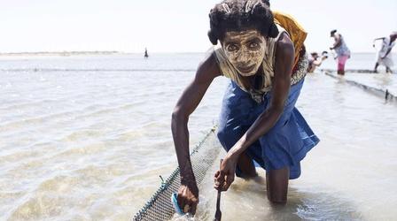 Video thumbnail: Earth Focus Future of Food