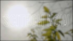 Video thumbnail: WCNY SciTech Now Saving the American Chestnut